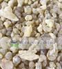 Frankincense (Boswellia papyrifera) - Eritrea