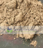 Calamus Root Powder (Acorus calamus) - Russia