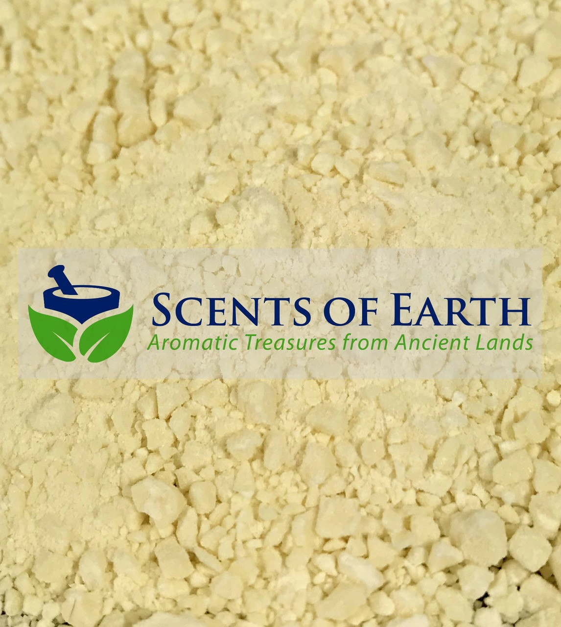 Mastic Gum Powder - Greece - Scents of Earth