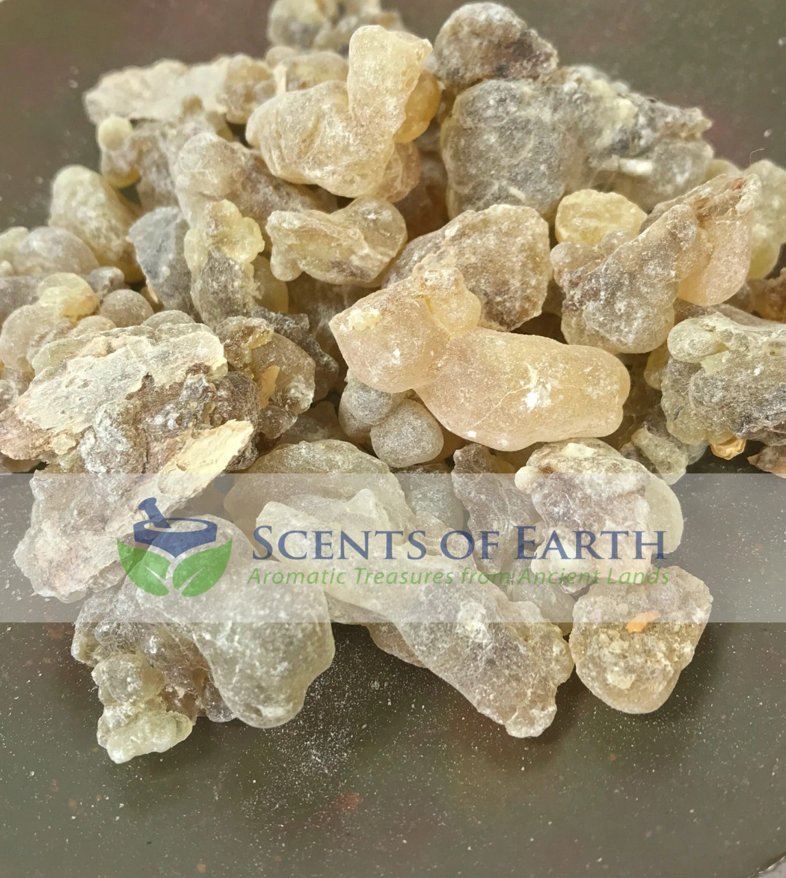 【オマーン産】 Brown Hojari フランキンセンス100g ① Frankincense Brown Hojary - Oman - Scents of Earth