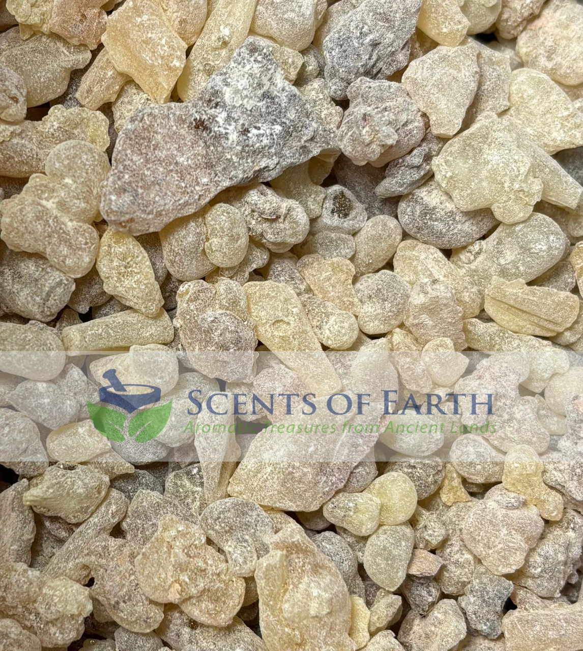 Frankincense Resin Superior India Scents of Earth