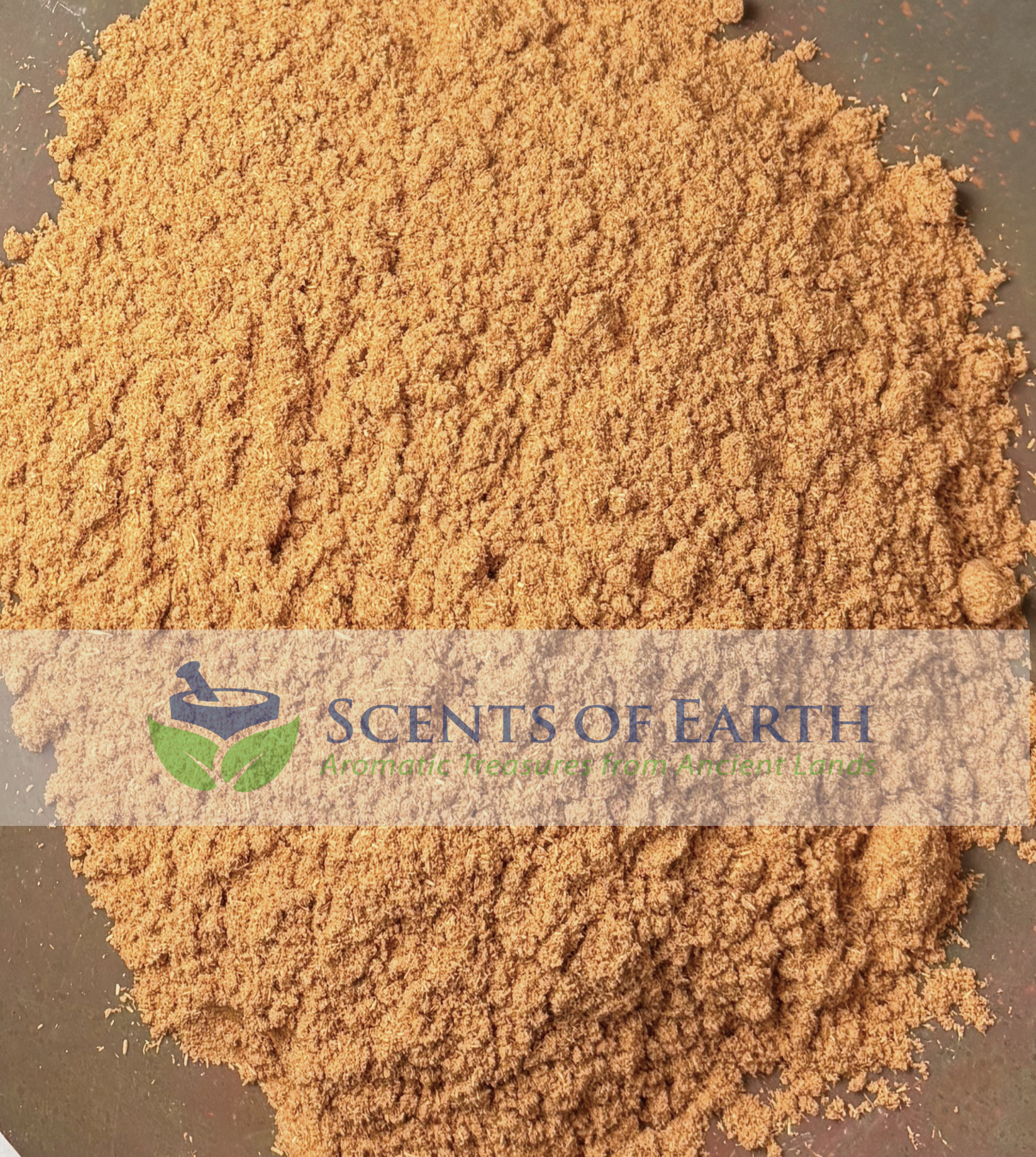 Sandalwood Information