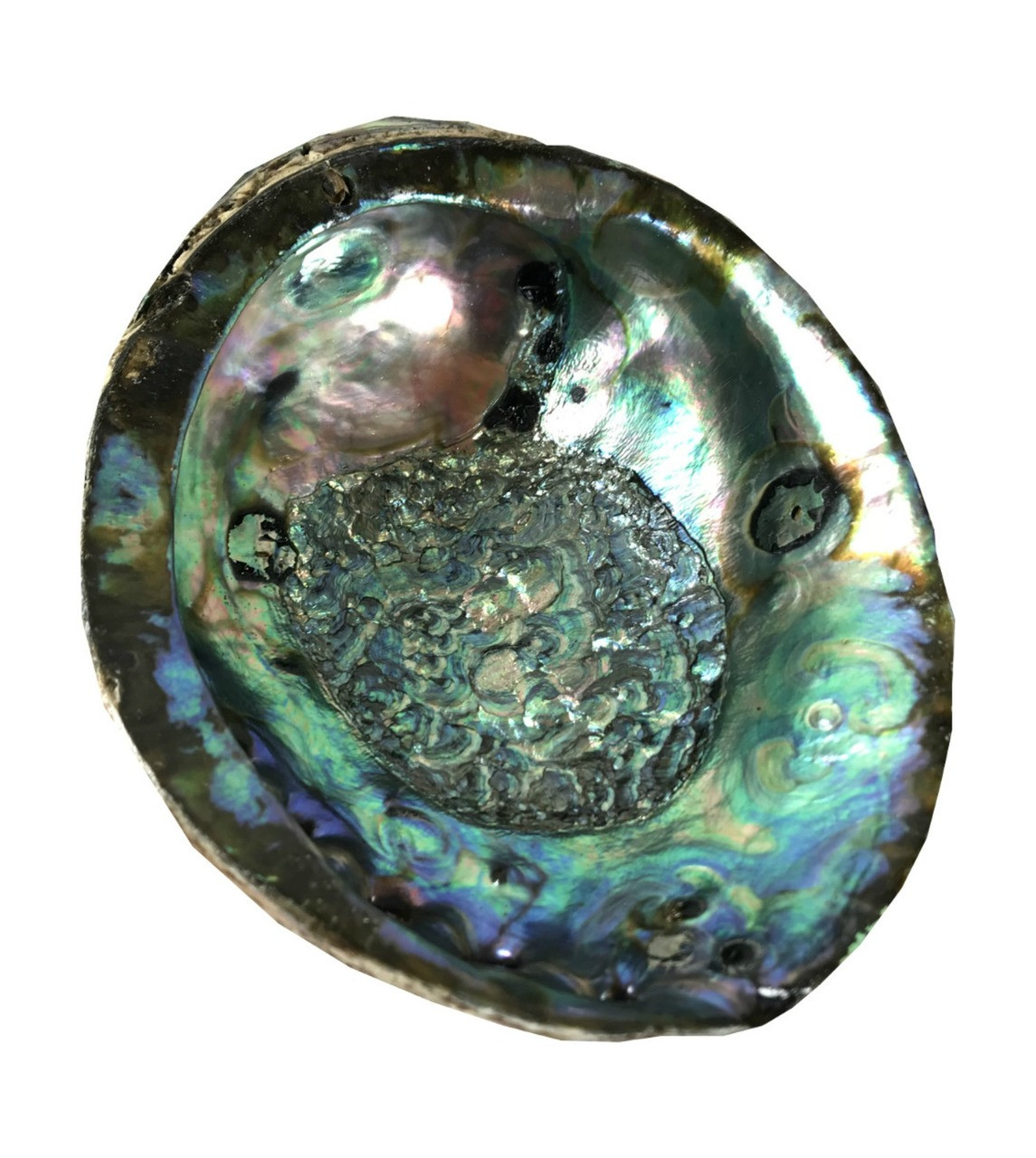 100 本物保証 Senfaiマーメイドplay Longチャーム調節可能な文字列イヤリング3トーン Shell Withブルーグリーンabalone イヤリング