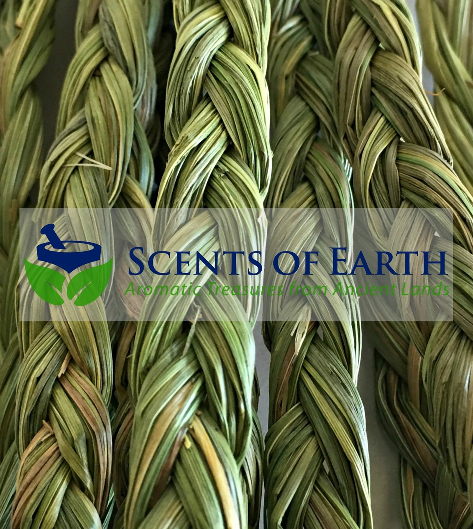 Mini Sweetgrass Braid - United States - Scents of Earth