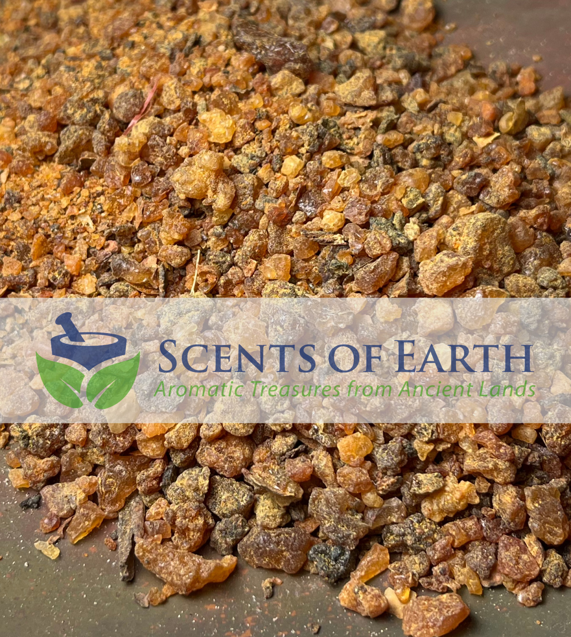 Myrrh Gum Resin (Pea Size) - Somalia - Scents of Earth