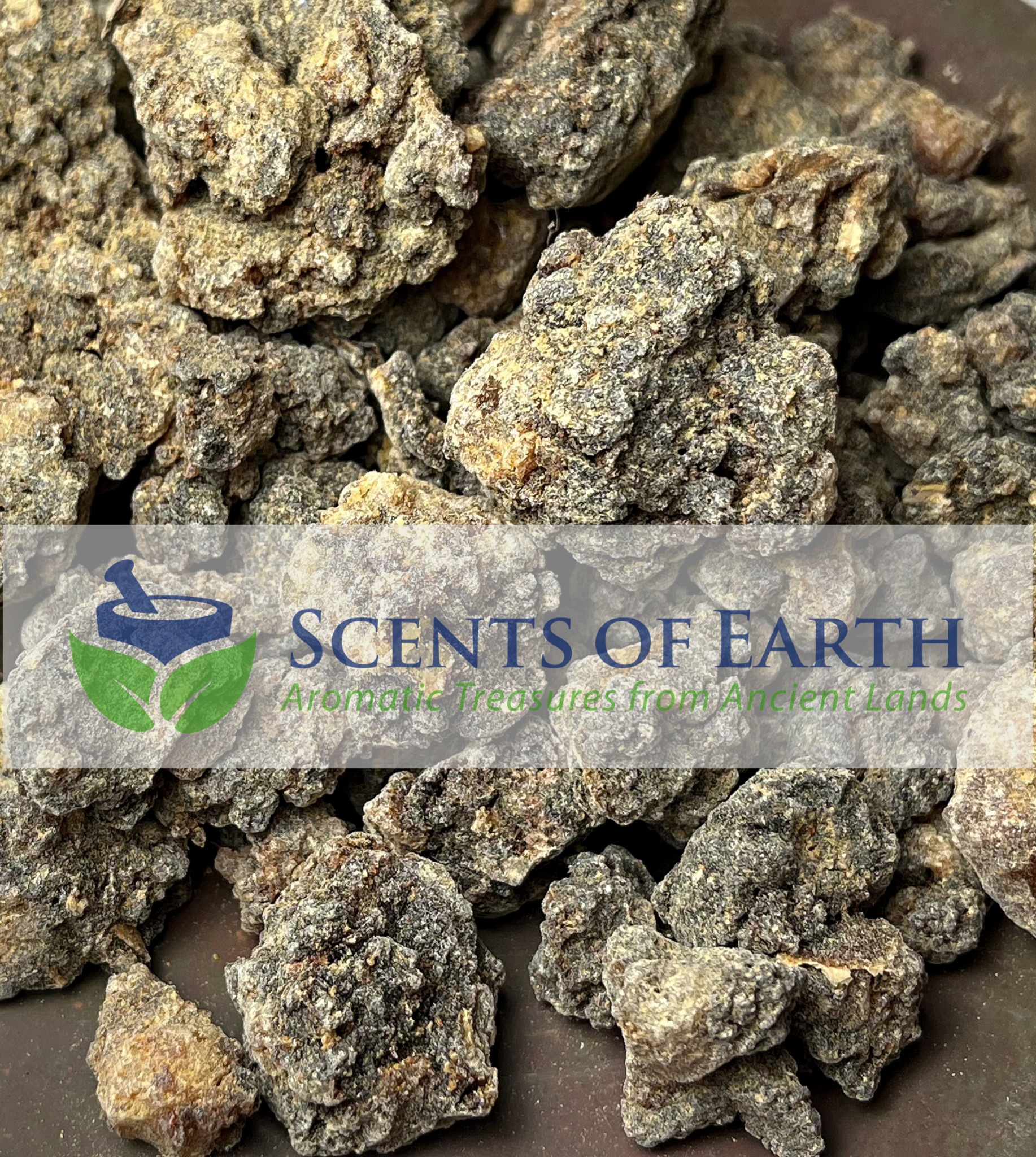 Myrrh Gum Resin (Pea Size) - Somalia - Scents of Earth