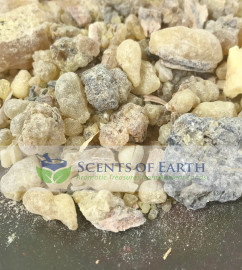 Frankincense Janawhi (Boswellia dalzielli) - Burkina Faso
