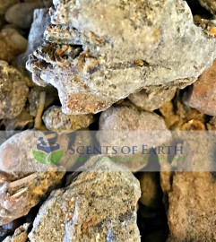 Pinon Pine Resin (Trementina) - United States