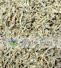 Sage - High Desert - Western USA