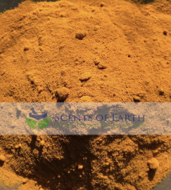 Turmeric Root Powder (Curcuma domestica) - India