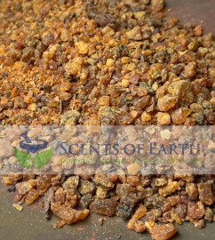 Myrrh Resin Pea Size (Commiphora myrrha) - Somalia