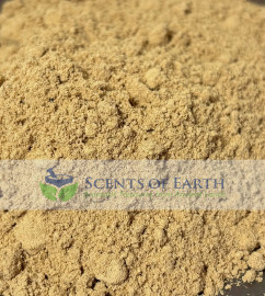 Ginger Root (Zingiber officinale) - Southeast Asia