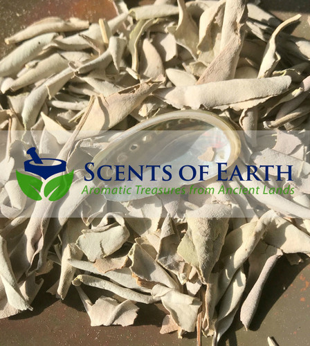 White Sage Leaves & Mini Abalone Shell Set