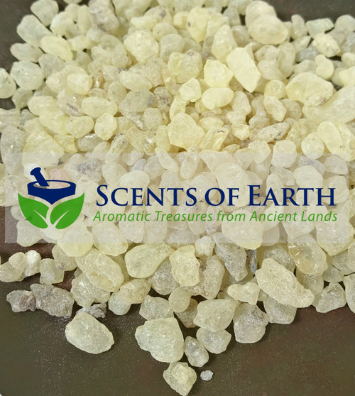 Dammar Gum Resin - White (Shorea wiesneri) - Indonesia