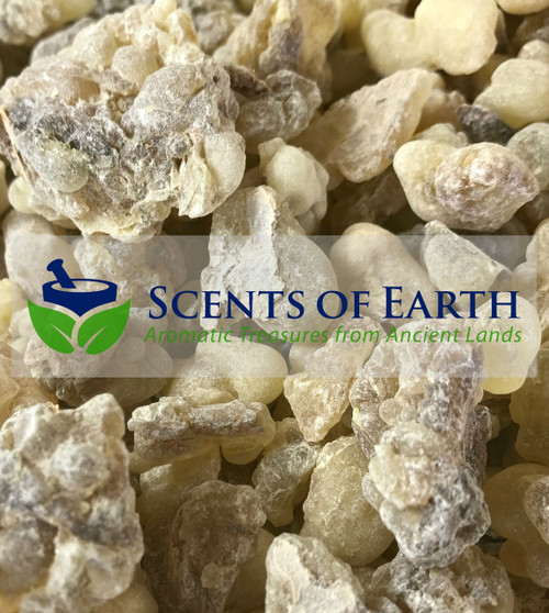 Frankincense  Jumbo Superior (Boswellia carteri) -  Yemen