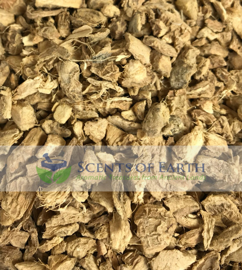 Ginger Root (Zingiber officinale) - Southeast Asia