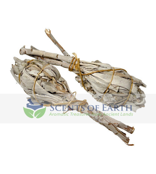 White Sage Mini Smudge Bundles (2 pack)