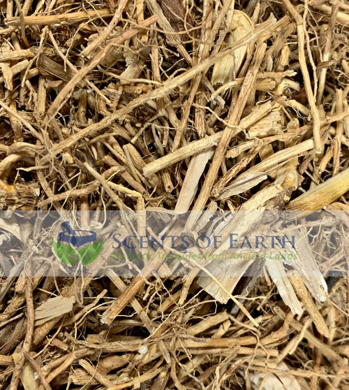 Vetiver Root (Vetiveria zizanioides) cut