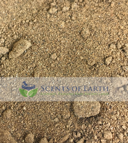 Juniper Berry Powder (Juniperus communis) - USA
