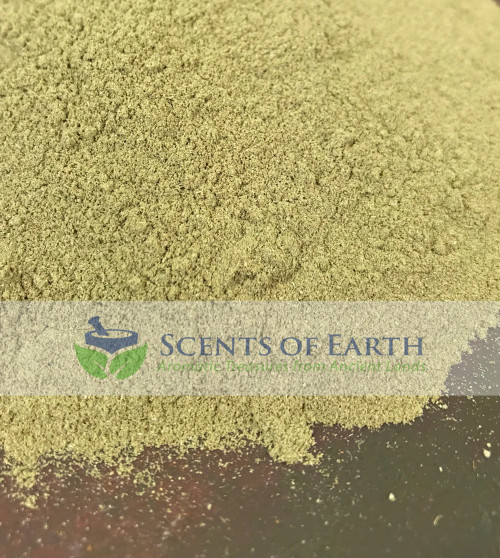 Eucalyptus Leaf (Eucalyptus globulus) - India