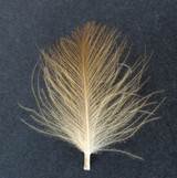 Cul De Canard Feathers