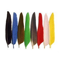 Mallard Duck Wing Quills New Turrall 2.5 Fly Tying World Fly Tying Quills