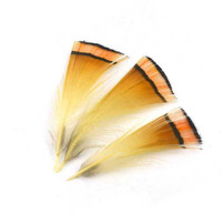 Golden Pheasant Tippet New Turrall 2.5 Fly Tying World Feathers