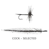 Cock Hackles Select (Dry Fly or smaller flys) New Turrall 2.5 Fly Tying World Fly Tying Materials