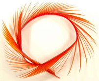 Semperfli Goose Biots New Semperfli 1.6 Fly Tying World Fly Tying Quills