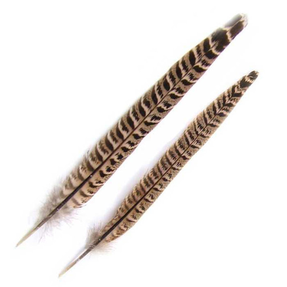 Hen pheasant Tail Feathers New Turrall 2.99 Fly Tying World Fly Tying Materials