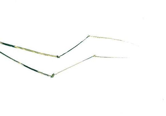 Turrall Daddy Long Legs New Turrall 2.99 Fly Tying World Fly Tying Materials