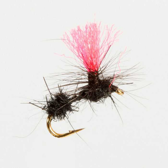Ant Hi Vis Dry Flies New Turrall 1.2 Fly Tying World Fly Fishing Tackle