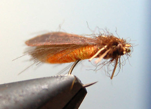 Tube Body Caddis New Hemingway's 4.29 Fly Tying World Everything Fly Tying