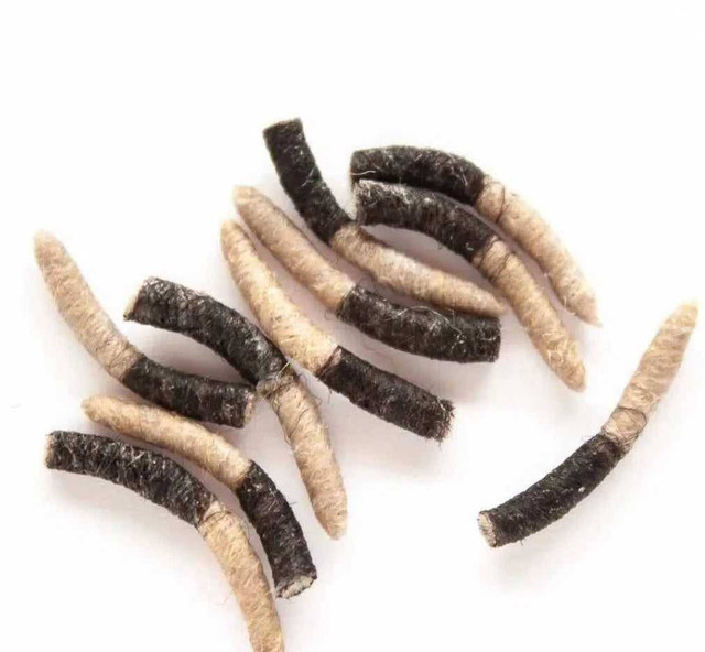 Hemingway’s Caddis Pupa Tube Bodies