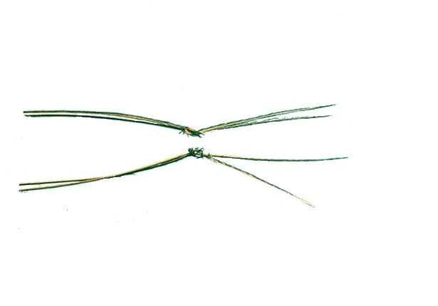 Bristol Hopper Legs New Turrall 2.99 Fly Tying World Fly Tying Materials