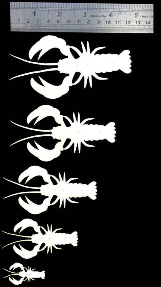 ABC Crawdads Mudbugs New Semperfli 6 Fly Tying World Body Tails Legs & Wings