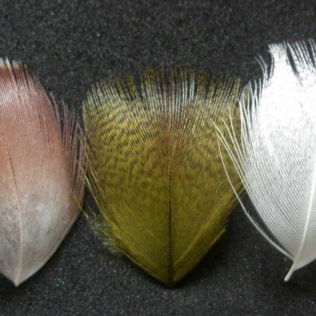 Mallard Breast Feathers New Turrall 3.99 Fly Tying World Feathers