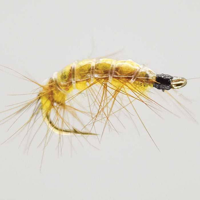 Yellow Shrimp Wet Flys #12 New Turrall 1.25 Fly Tying World Fly Fishing Tackle