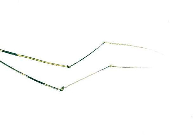 Turrall Daddy Long Legs New Turrall 2.99 Fly Tying World Fly Tying Materials