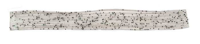 Sili FrogLegs New Turrall 3.85 Fly Tying World Fly Tying Materials