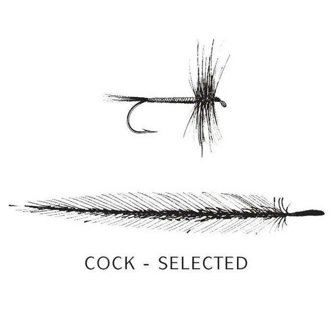 Cock Hackles Select (Dry Fly or smaller flys) New Turrall 2.5 Fly Tying World Fly Tying Materials