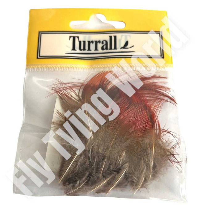 Red Golden Pheasant Hackles New Turrall 2.5 Fly Tying World Feathers