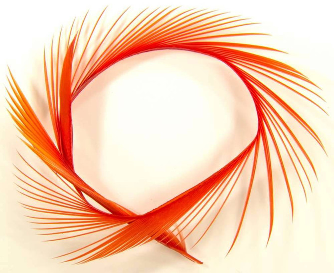 Semperfli Goose Biots New Semperfli 1.6 Fly Tying World Fly Tying Quills