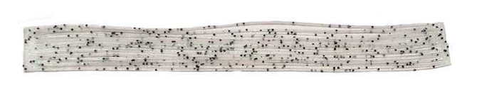 Sili FrogLegs New Turrall 3.85 Fly Tying World Fly Tying Materials