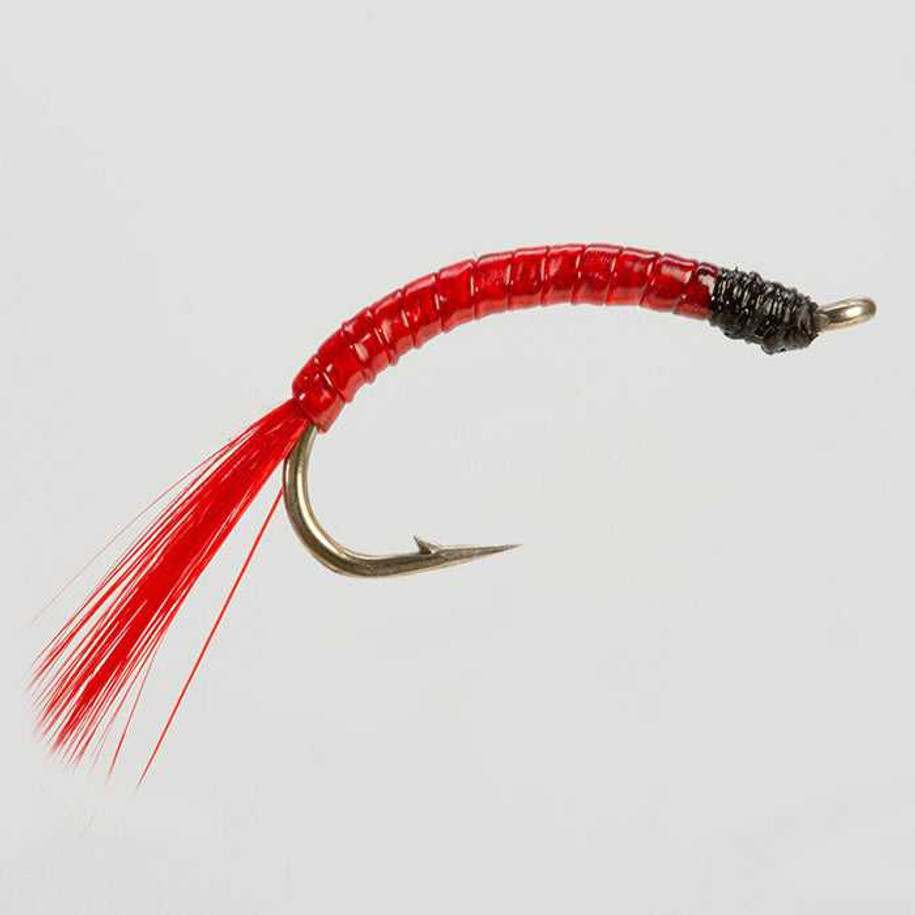 Glass Bloodworm New Turrall 1 Fly Tying World Everything Fly Tying