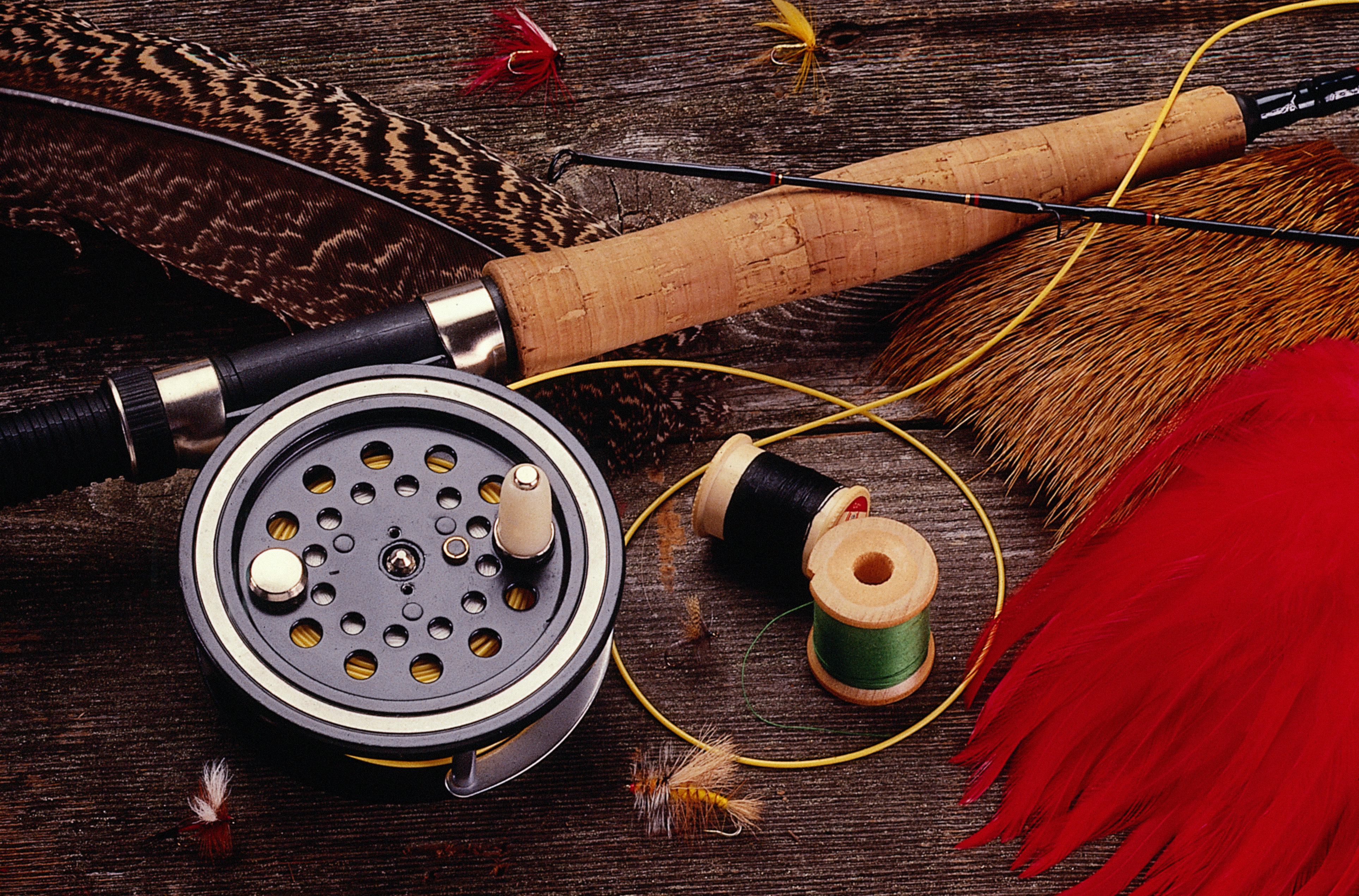 Explore Fly Fishing Videos: 