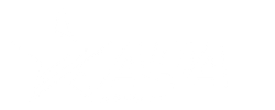 ara novelty.com