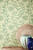 Little Greene Sample Pot Sample Acorn 87 H