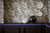 Little Greene Sample Pot Sample Mambo 112 D
