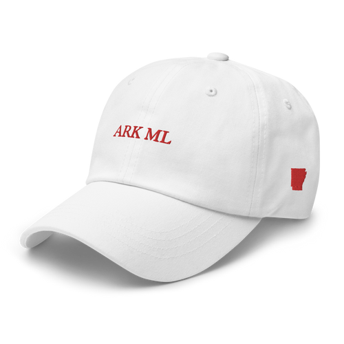 Arkansas Moneyline Dad Hat